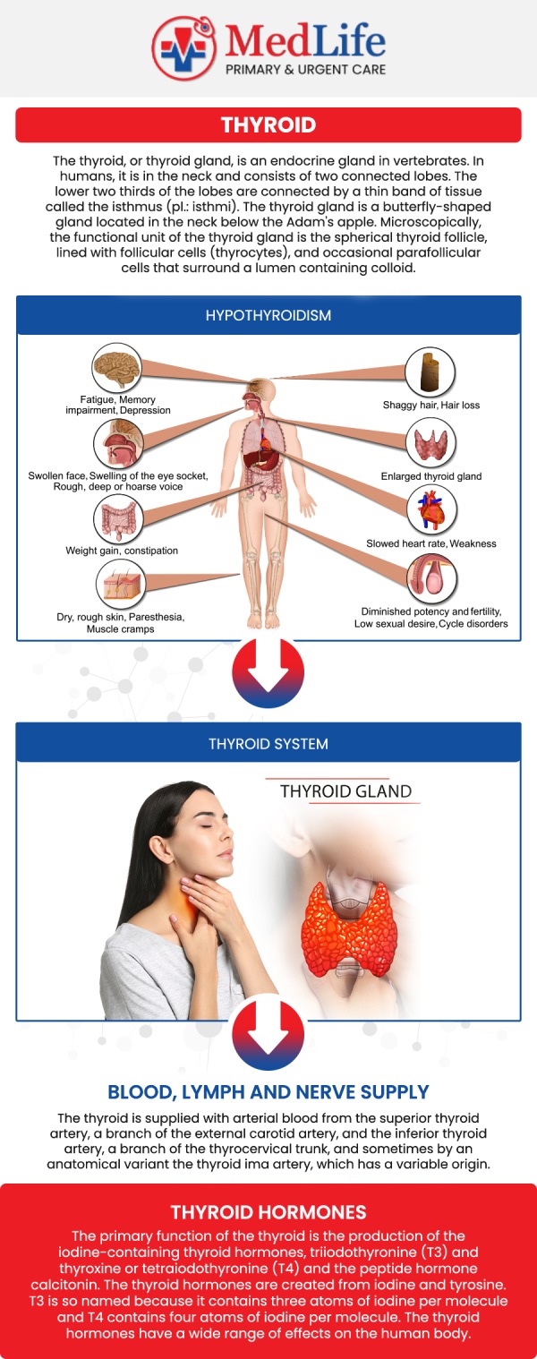 Common questions asked by patients: What are the common symptoms of thyroid disorders? How are thyroid disorders diagnosed? What factors can contribute to thyroid disorders? How can thyroid disorders affect overall health? When should you seek medical care for thyroid disorder symptoms? For more information, contact us or request an appointment online. We are conveniently located at 2035 Flat Shoals Rd SE, Conyers, GA 30013. We serve patients from Conyers GA, Covington GA, Lakeview Estates GA, Stonecrest GA, and surrounding areas. Common questions asked by patients: What are the common symptoms of thyroid disorders? How are thyroid disorders diagnosed? What factors can contribute to thyroid disorders? How can thyroid disorders affect overall health? When should you seek medical care for thyroid disorder symptoms? For more information, contact us or request an appointment online. We are conveniently located at 2035 Flat Shoals Rd SE, Conyers, GA 30013. We serve patients from Conyers GA, Covington GA, Lakeview Estates GA, Stonecrest GA, and surrounding areas.