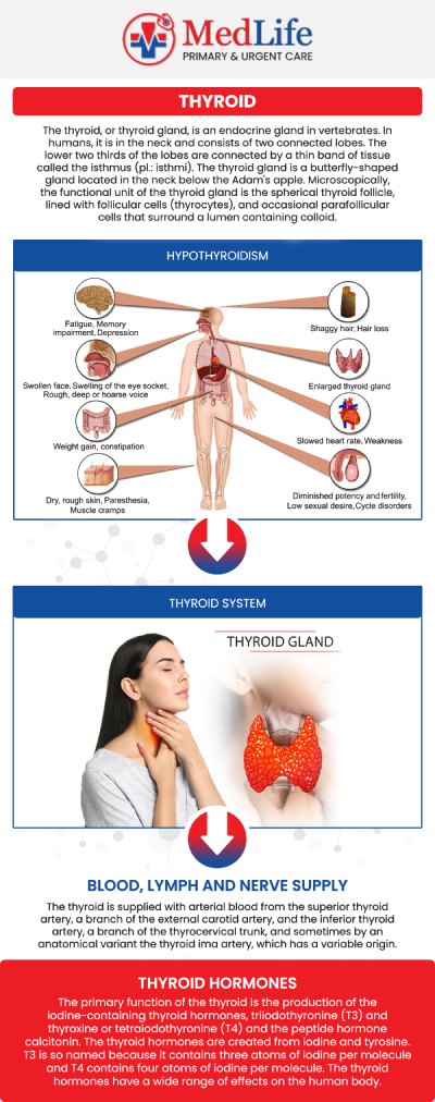 Common questions asked by patients: What are the common symptoms of thyroid disorders? How are thyroid disorders diagnosed? What factors can contribute to thyroid disorders? How can thyroid disorders affect overall health? When should you seek medical care for thyroid disorder symptoms? For more information, contact us or request an appointment online. We are conveniently located at 2035 Flat Shoals Rd SE, Conyers, GA 30013. We serve patients from Conyers GA, Covington GA, Lakeview Estates GA, Stonecrest GA, and surrounding areas. Common questions asked by patients: What are the common symptoms of thyroid disorders? How are thyroid disorders diagnosed? What factors can contribute to thyroid disorders? How can thyroid disorders affect overall health? When should you seek medical care for thyroid disorder symptoms? For more information, contact us or request an appointment online. We are conveniently located at 2035 Flat Shoals Rd SE, Conyers, GA 30013. We serve patients from Conyers GA, Covington GA, Lakeview Estates GA, Stonecrest GA, and surrounding areas.